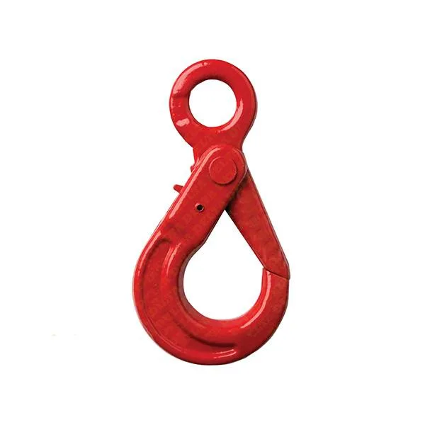 G80 Eye Self Locking Hook